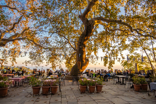 Sunset in Makrinitsa under the huge plane tree at the village's square in Pelion, Greece