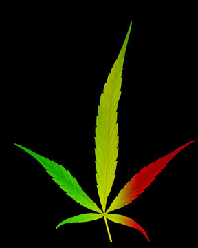 Feuille de cannabis aux couleurs rasta sur fond noir