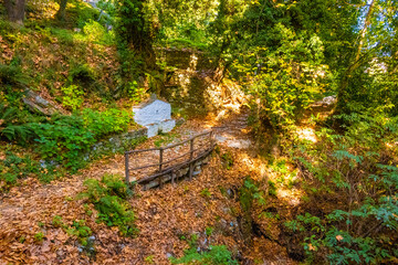 Trekking and hiking routes in the dense forest with lush vegetation in Tsagarada village, Pelion, Greece. Forest paths. Autumn landscape