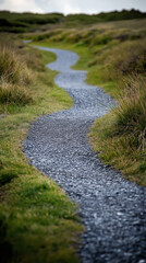 The Path to Success A guide or roadmap outlining the steps and strategies necessary to achieve business success