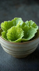 Photo of Fresh Green Leaves in a Bowl