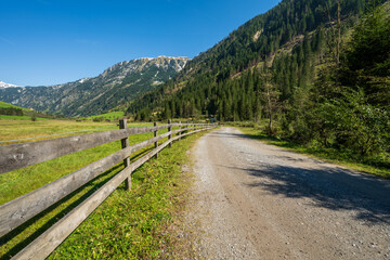 Old wooden fence