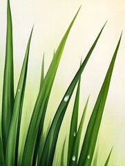 Fototapeta premium Sunlit Dewy Morning Grass Sparkling in the Early Light of Day