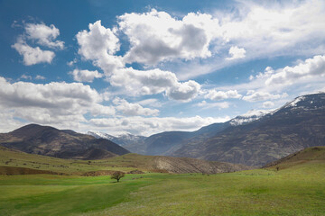 A village on the slopes of the mountain, cloudy sky, meadows and trees