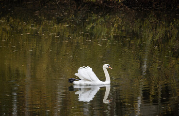 blue woman from fantasy movie Avatar 2