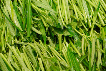 Morning glory cut into pieces and placed in a cooking preparation area.
