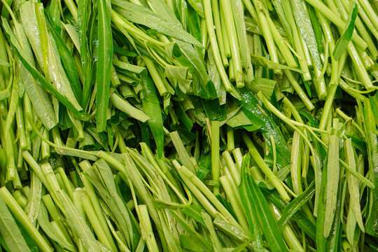 Morning glory cut into pieces and placed in a cooking preparation area.
