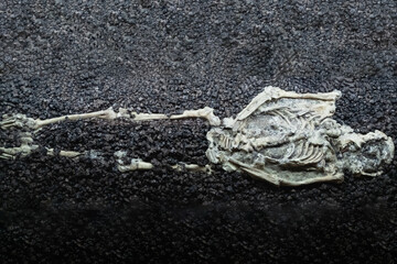 Ancient Human Remains Found in Rock Layers, Shedding Light on Early Civilizations and the Secrets of Human Existence