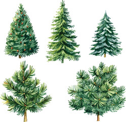 Vector Christmas tree set watercolor isolated on white background, Set of greenery Christmas pine tree watercolor illustration