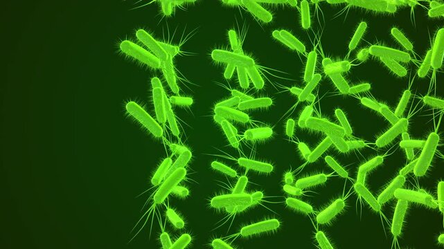 Medical animation of bacteria cells
