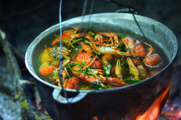 Delicious Boiled Crayfish Cooking in a Pot Outdoors at Night. Picnic concept