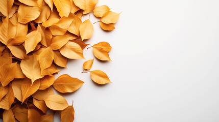 Close-up of an arrangement of golden orange autumn leaves spread on a white surface, creating a natural and seasonal composition on the left side.