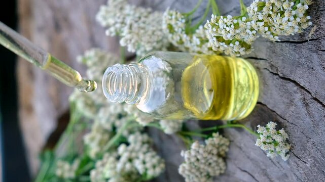 Yarrow extract in a bottle. Selective focus.