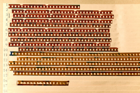 Dettaglio di rullini fotografici sviluppati ed minutamente organizzati in un vecchio album da negativi un po' ingiallito dal tempo.