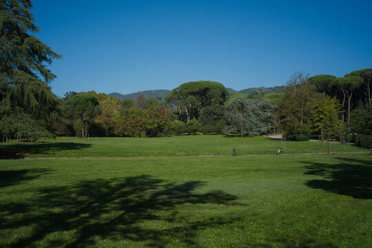 Vista del parco Pineta di Montecatini Terme durante una bella e serena giornata autunnale con cielo azzurro e senza nuvole sull'orizzonte.