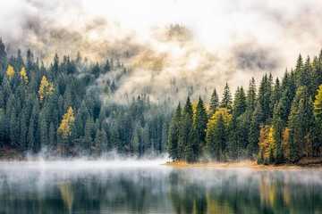 Misty autumn morning at a serene forest lake