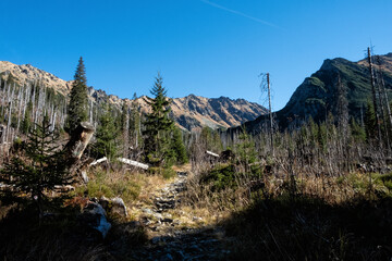 Dill valley, High Tatras mountain, Slovakia