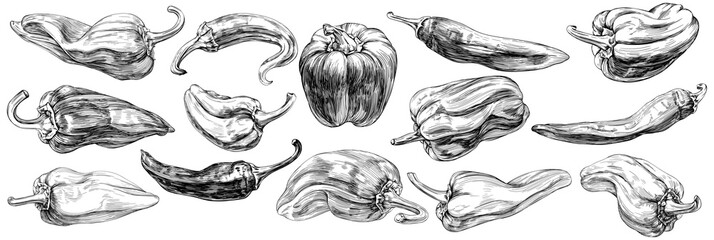 Pepper set hand drawn engraved ink art collection. Isolated paprika on white background.