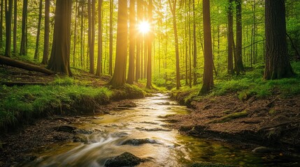 Obraz premium An ancient forest with towering trees, dappled sunlight filtering through the leaves, and a winding river flowing through the underbrush 