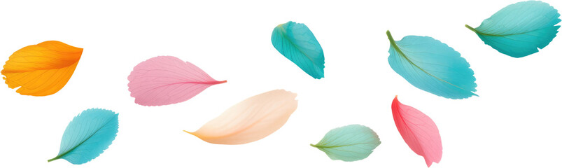 Fototapeta premium Colorful flower petals floating on the wind, isolated on transparent background