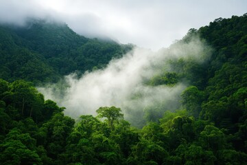 Serene Waterfall Cascading Through Lush Tropical Forest, Shrouded in Ethereal Mist
