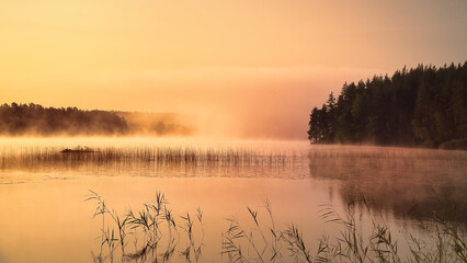 Sunrise with fog forming over a lake in Sweden, at dawn. Romantic silence