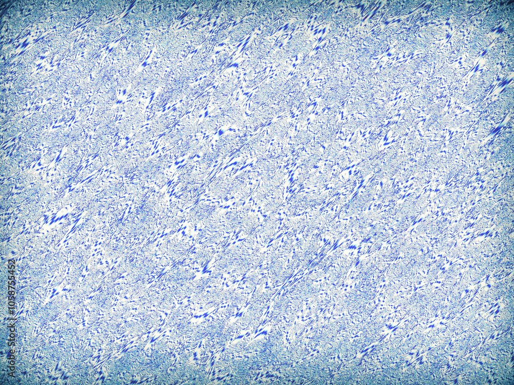 Poster water drops on the window. seamless pattern with dots. abstract background with lines. white lace fr