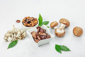 Assortment of various mushrooms - fresh, dried and pickled. Oyster, cremini, porcini and shiitake