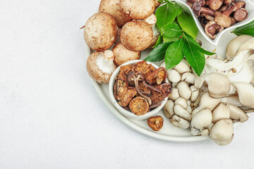 Assortment of various mushrooms - fresh, dried and pickled. Oyster, cremini, porcini and shiitake