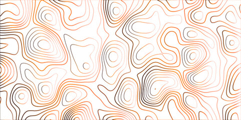 Obraz premium Topographic canyon geometric map relief texture with curved layers and shadow. abstract White background with a beautiful pattern, Topographic contour lines vector map seamless pattern vector. 