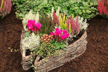 Pflanz-Korbherz,aus Weide    rattan, herz