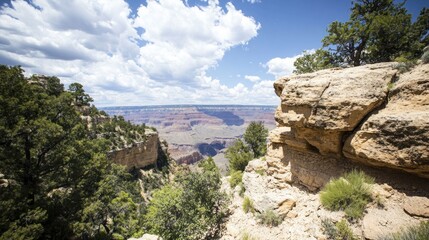Naklejka premium A breathtaking view of the Grand Canyon from a rocky cliff with lush green trees and a blue sky dotted with fluffy white clouds.
