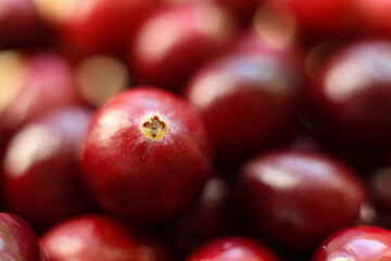 close up view of red cranberries, full frame photo