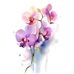watercolor pink orchid flower clipart on a isolated background, transparent background png