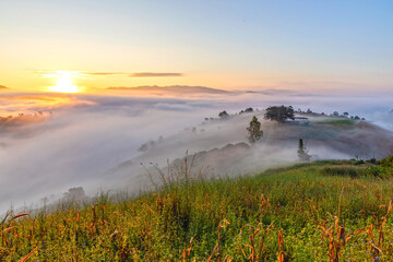 mountainous countryside landscape at dawn. grassy rural fields on the rolling hills in morning light. fog in distant valley.
