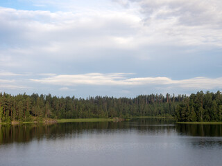 forest lake in summer