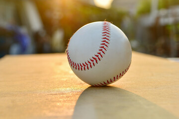 baseball and Baseball bat with sunlight