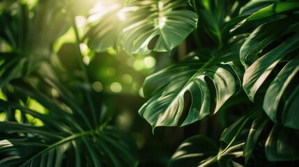 A warm and bright scene with sunlight shining through the leaves of a plant, great for nature or wellness-themed projects