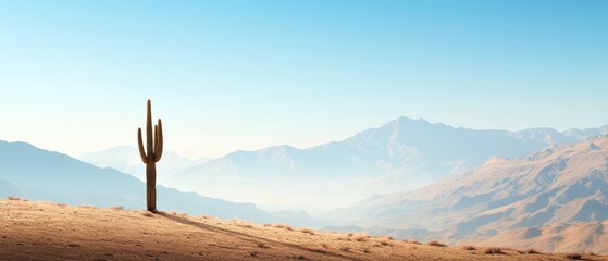  A tall cactus atop a dirt mound faces a looming mountain, shrouded in fog and smog