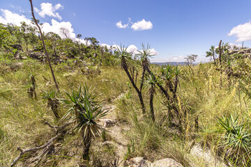 paisagem natural na cidade de Alto Paraiso de Goiás, região da Chapada dos Veadeiros, Estado de Goiás, Brasil