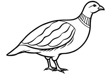 Partridge Bird line art  Vector Classic Wildlife Illustration Design