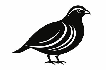 Partridge Bird Silhouette Vector Classic Wildlife Illustration Design