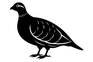 Obraz premium Partridge Bird Silhouette Vector Classic Wildlife Illustration Design