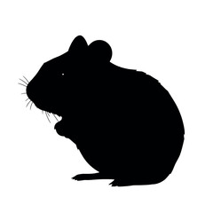 a hamster animal vector silhouette, isolated white background,