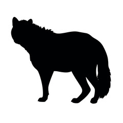 a hyena standing on blank space vector silhouette, isolated white