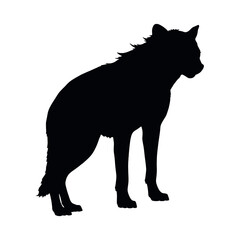 a hyena standing on blank space vector silhouette, isolated white