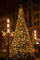 Christmas Tree Magic on a Winter’s Night. Twinkling Lights and Holiday Splendor
