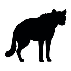 a hyena standing on blank space vector silhouette, isolated white