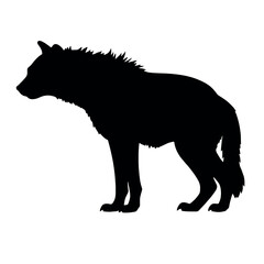 a hyena standing on blank space vector silhouette, isolated white