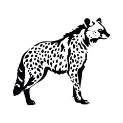 a hyena standing on blank space vector silhouette, isolated white